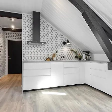 Center - Modern With Garage * Porsgrunn
